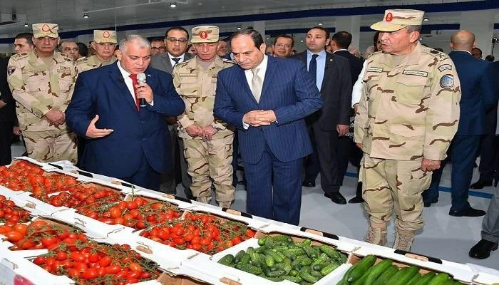 التلاعب بميزانية الدفاع المصرية… خداع استراتيجي ضد العدو… أم فساد عميق في الدولة؟